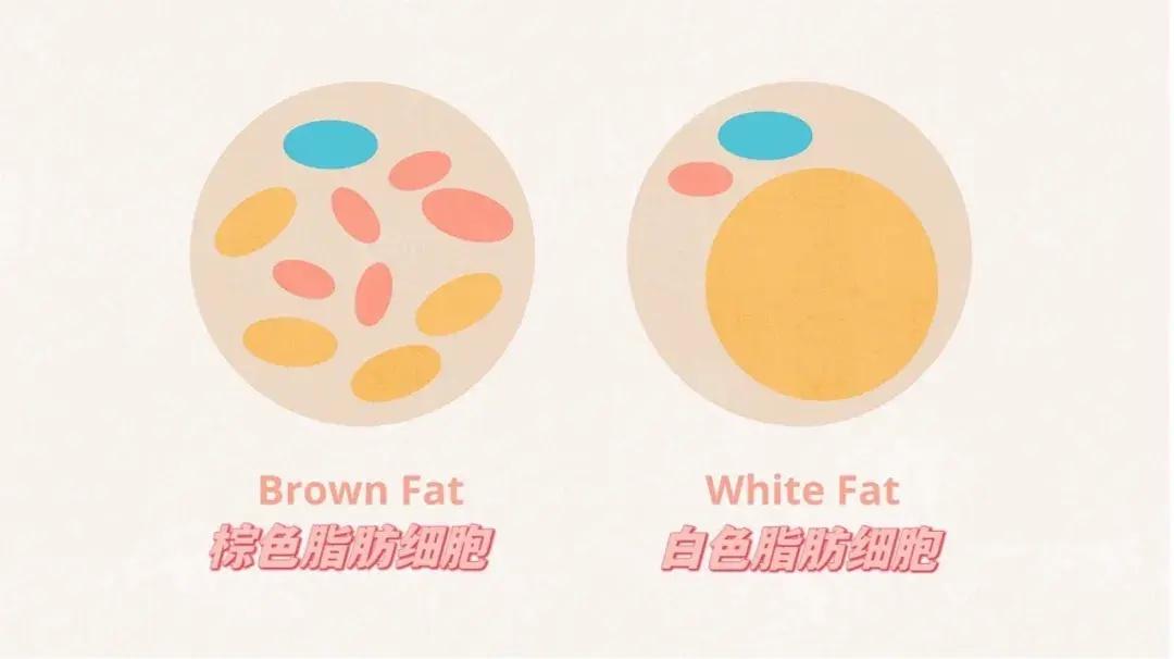 相同温度,为何在春天和秋天感受不同?快来一探究竟 第2张 相同温度,为何在春天和秋天感受不同?快来一探究竟 第2张