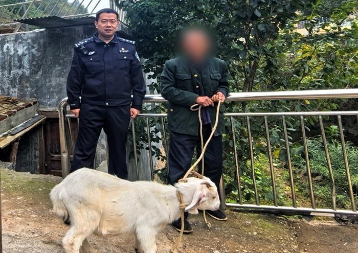 镇巴公安：深夜救助孤寡老人，帮群众找回丢失山羊  第2张