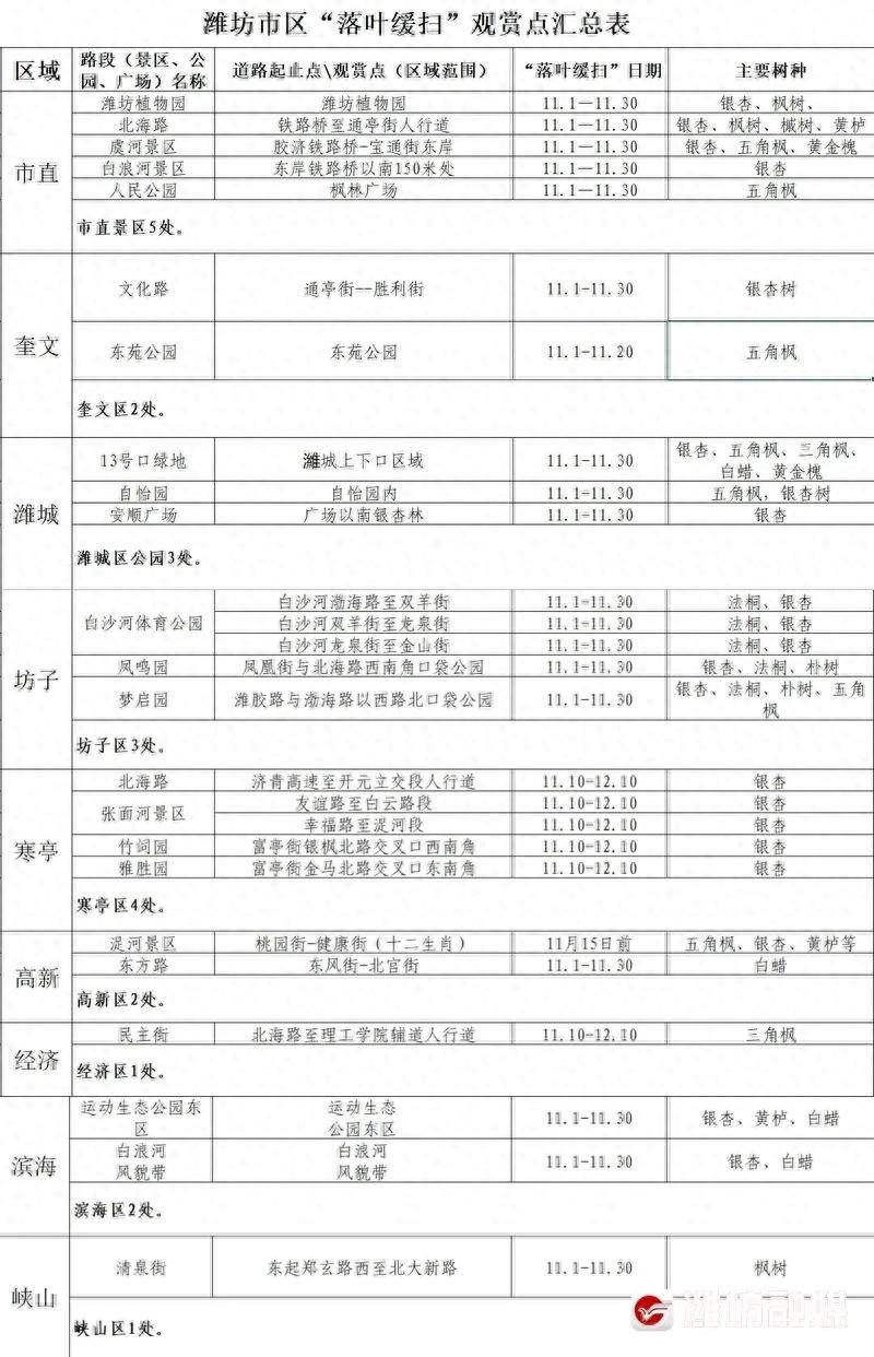 潍坊城管局开展落叶缓扫活动，留住城市诗意美景  第1张