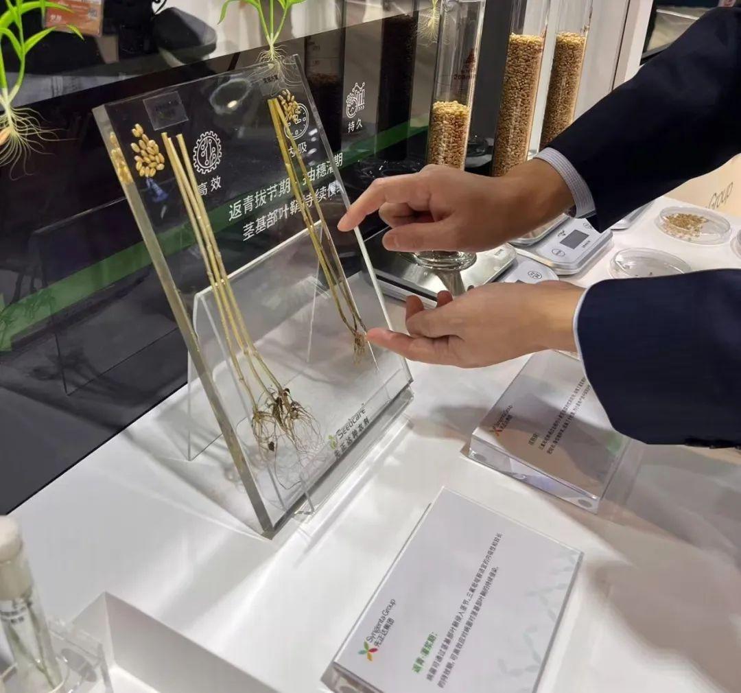 2024 进博会：科技守护舌尖安全，种业迈进新阶段  第2张