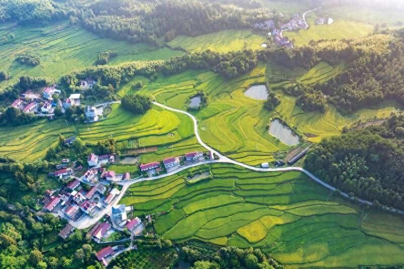 旌德县：农村公路四好建设助力乡村全面振兴，你知道吗？  第1张