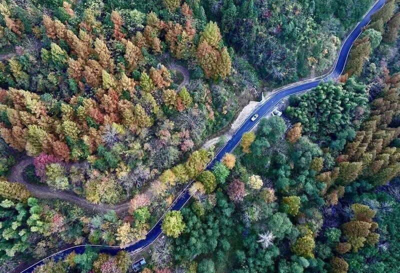 旌德县：农村公路四好建设助力乡村全面振兴，你知道吗？  第3张