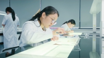 揭秘国家标准：稻谷、小麦、油菜籽的质量等级，你知道多少？  第2张