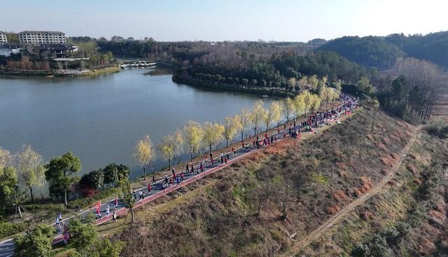 穿越古今，8000跑者齐聚桐柏，用脚步丈量千年历史与自然风光  第3张