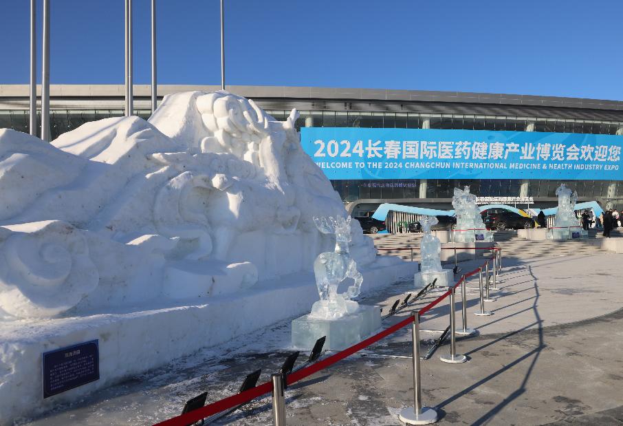 2024长春健博会：冰雪中的中医药文化盛宴，AI冰雕惊艳亮相  第7张