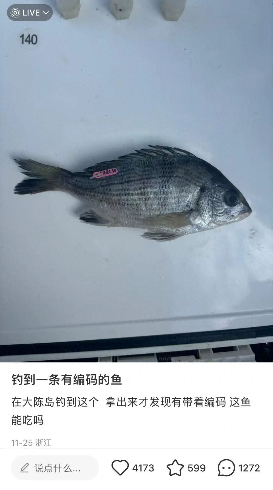浙江网友钓到带编码的鱼，引发全网热议：这条鱼到底能不能吃？