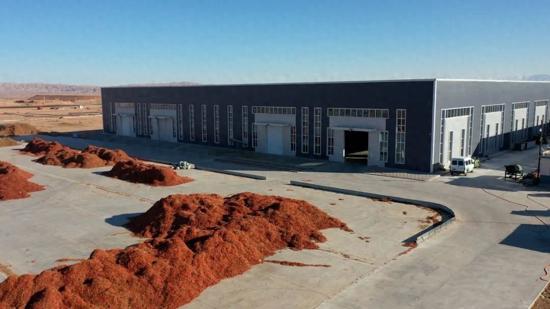 初冬辣椒烘干厂：小小辣椒如何实现身价倍增，带动乡村经济飞速发展？  第1张