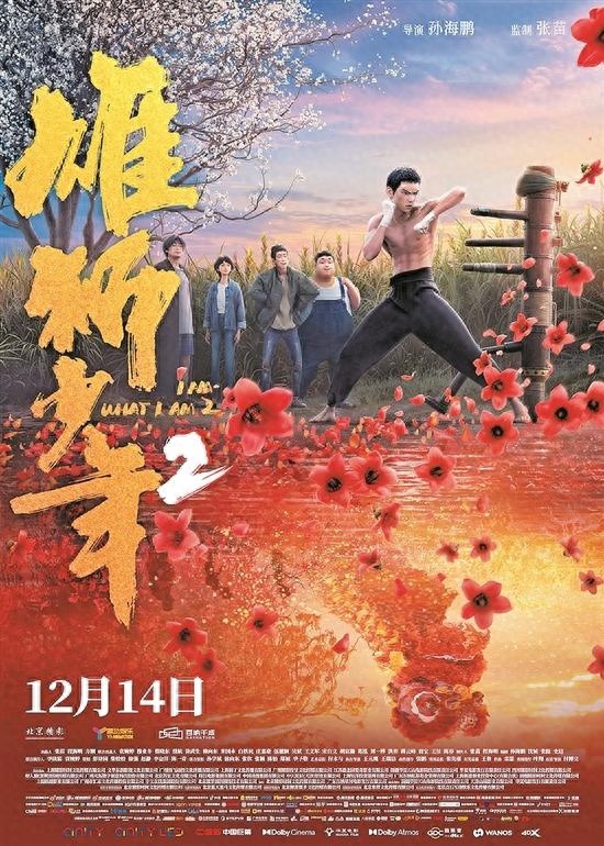 雄狮少年2终极海报曝光，阿娟咏春木人桩前展雄姿，12月14日全国上映引爆期待  第1张