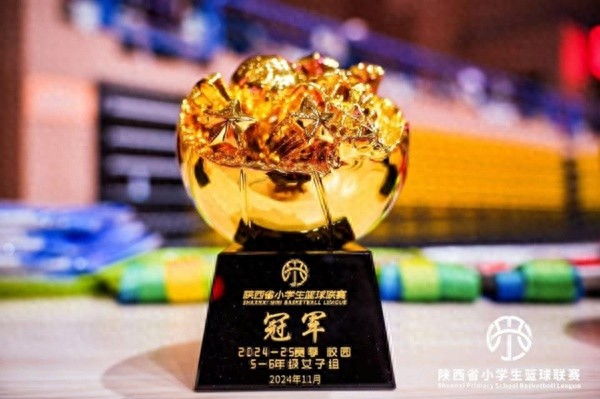 2024-2025赛季陕西省小学生篮球联赛：经开一小篮球队勇夺多项殊荣，展现坚韧团队精神  第1张