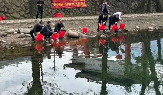 揭秘浙江海洋水产研究所黑鲷鱼放流项目：捕捞到的鱼苗竟是毕业论文？