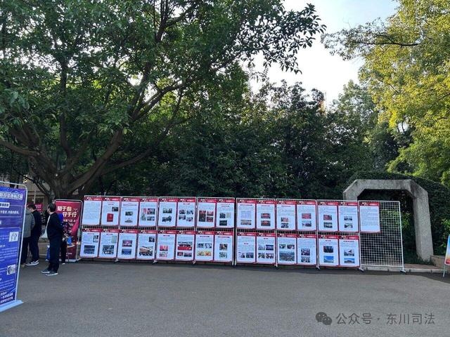 12·4国家宪法日：20余部门联合行动，宪法精神点燃全民崇敬之情  第5张