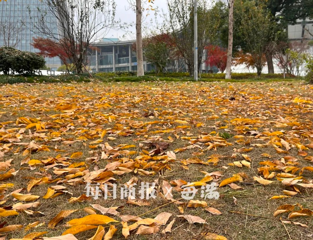 明天起，阴雨天气强势回归！气温骤降，寒冬将至，你准备好了吗？  第2张