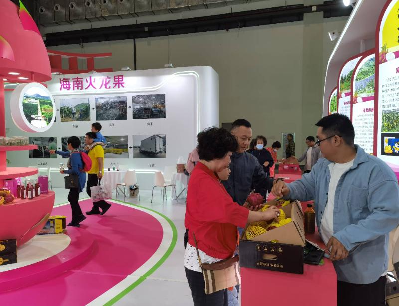 海南火龙果全身都是宝！从根茎到果实，全产业链开发引爆市场热潮  第2张
