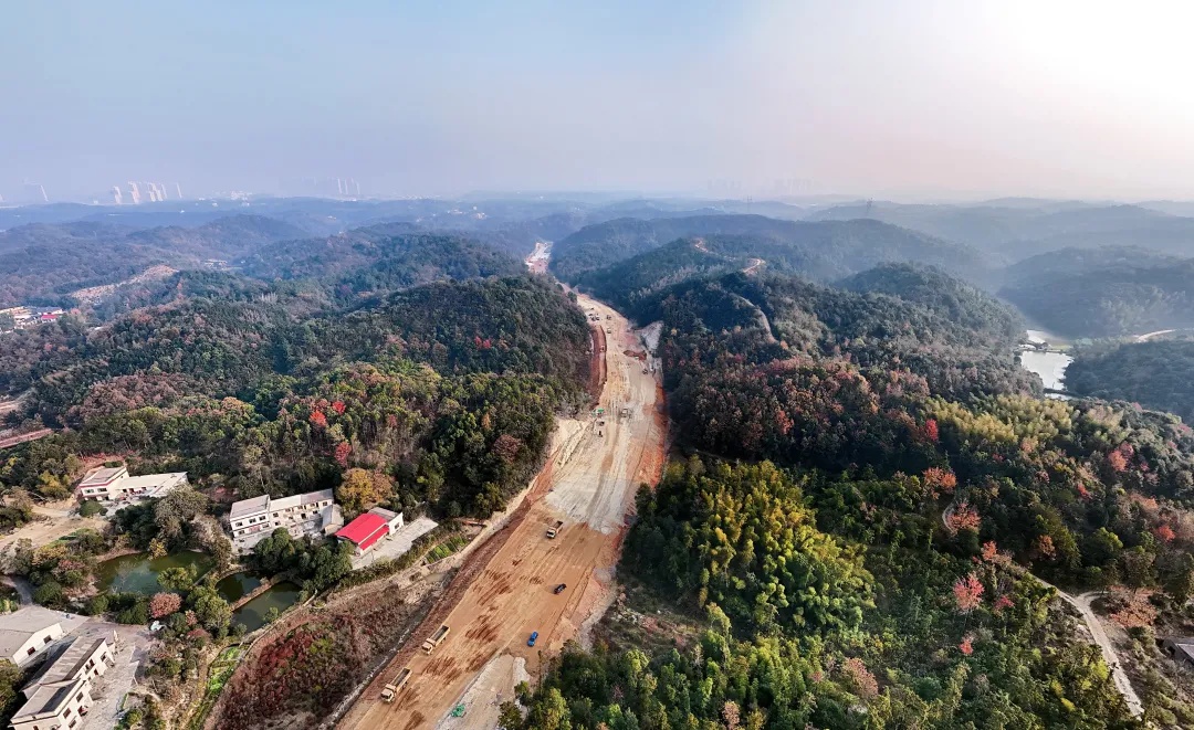 白庭路建设迈入新阶段，200米路基首层水稳摊铺，全线工程加速推进  第5张