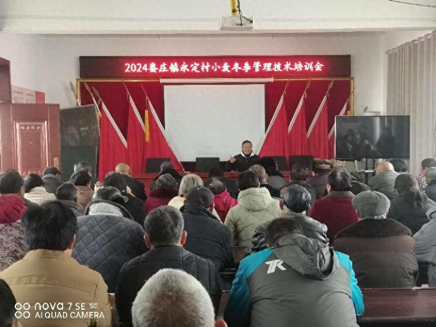 灵璧县娄庄镇多措并举，确保小麦安全越冬，单产提升有保障