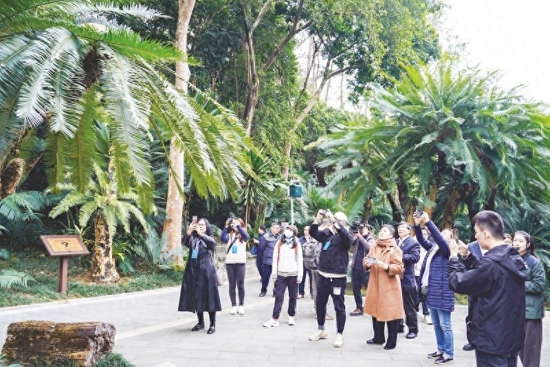 境外媒体记者亲临南宁,揭秘这座城市的绿色奇迹与开放活力 第1张 境外媒体记者亲临南宁,揭秘这座城市的绿色奇迹与开放活力 第1张