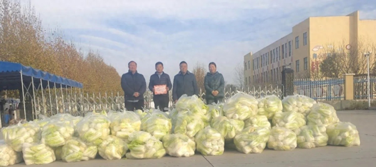 3000斤白菜背后的温暖故事：家长捐赠为教师送暖，爱与关怀在校园流淌  第1张