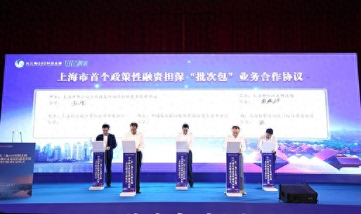 2024年上海政府开放月活动惊艳亮相，普惠金融助力三农与科创双翼齐飞  第1张