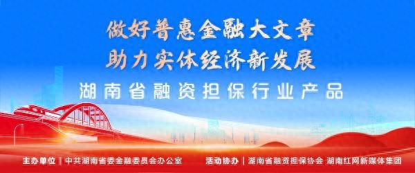 隆回县中小企业融资担保有限公司：助力担产品，政银企担四方共赢，开启融资新纪元