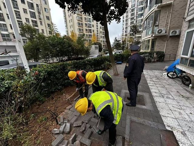 300平米公共绿地被圈占，执法人员雷霆出击，小区环境大变样  第2张