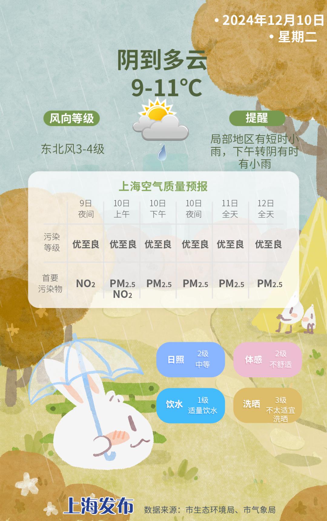寒潮来袭！上海气温创下半年新低，湿冷体感持续，你准备好了吗？  第3张