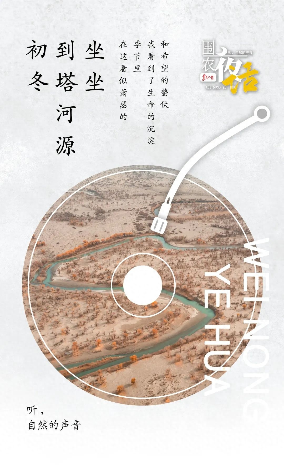 初冬塔河源：胡杨的辉煌与心灵的宁静，一场岁月的浪漫邂逅