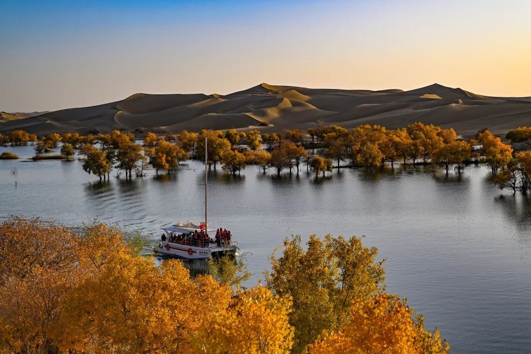 初冬塔河源：胡杨的辉煌与心灵的宁静，一场岁月的浪漫邂逅  第2张