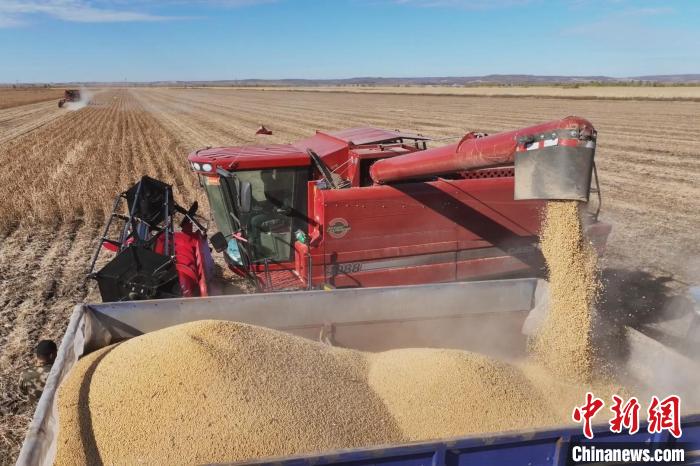 2024 年，中国最大大豆生产地级市黑河，2000 万亩大豆描绘丰收粮辰美景  第2张