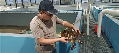 舟山：养海护渔，耕海牧渔，让海洋生物重回东海  第2张