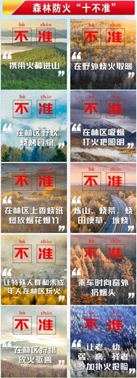 森林火灾危害大！这些知识点和逃生提示你必须知道  第1张