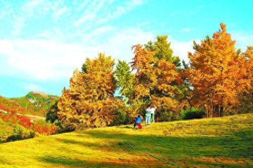 绝美！徽县嘉陵镇田河村，这个千年古银杏村落藏不住了  第1张