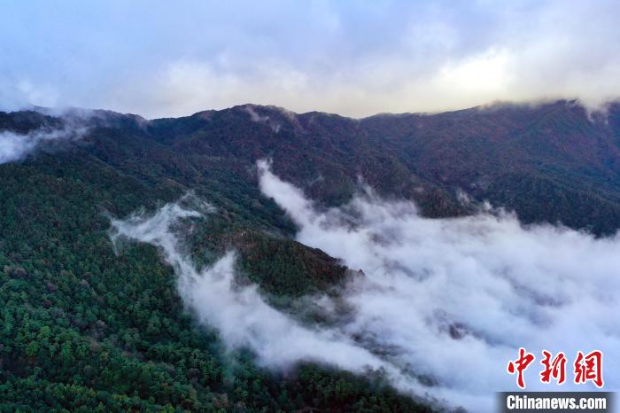 哀牢山：从人类禁区到网红景区，背后隐藏着哪些秘密？