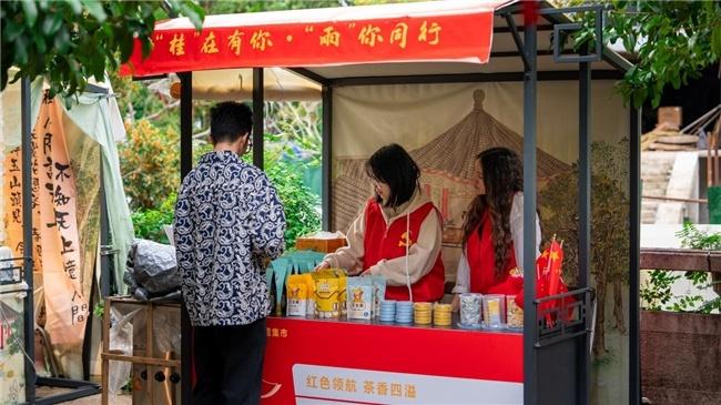 杭州满觉陇村桂花盛放，外国留学生志愿者成亮点  第3张