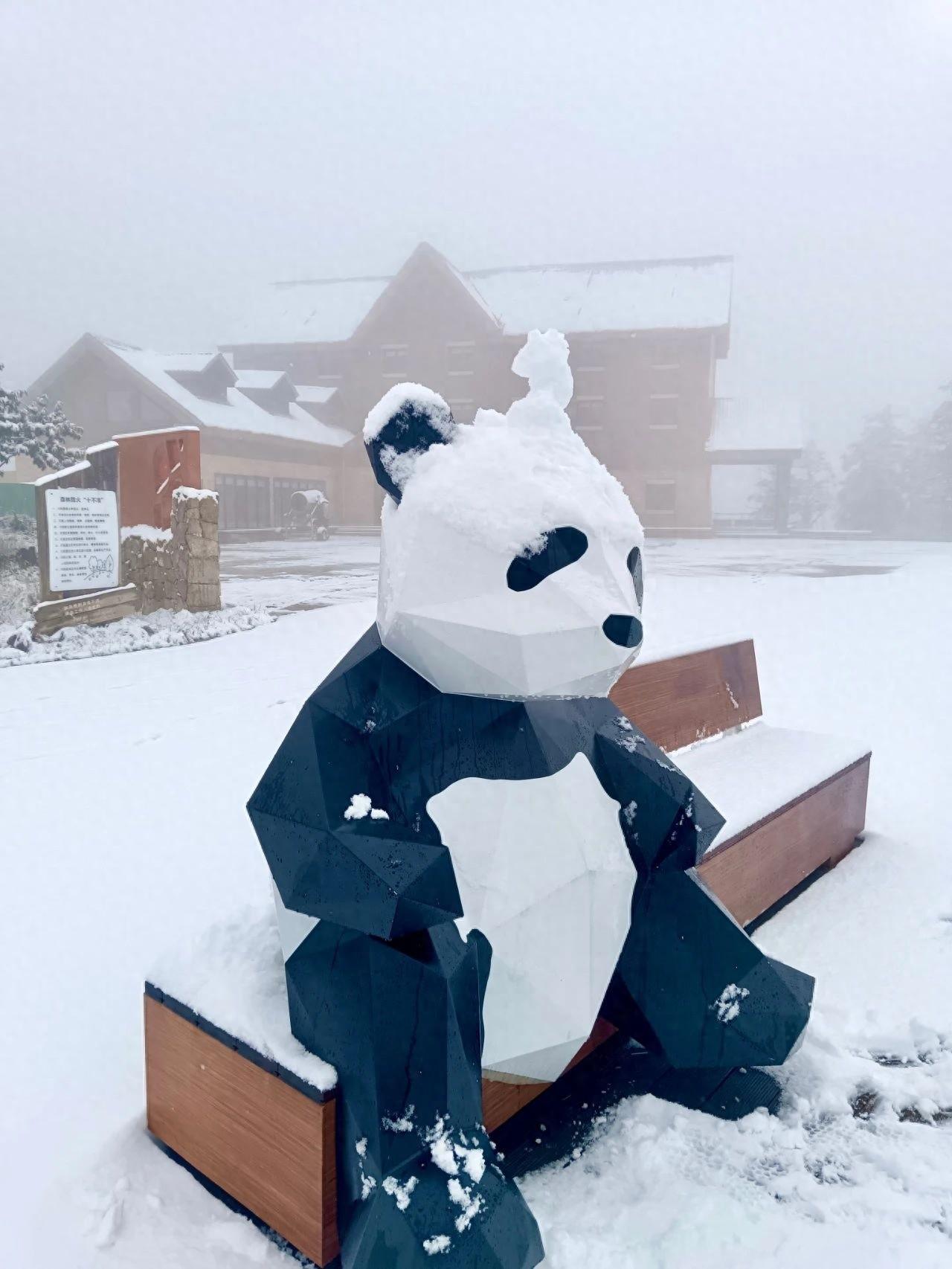 10 月的四川居然下雪了？这 3 个地方已美成仙境