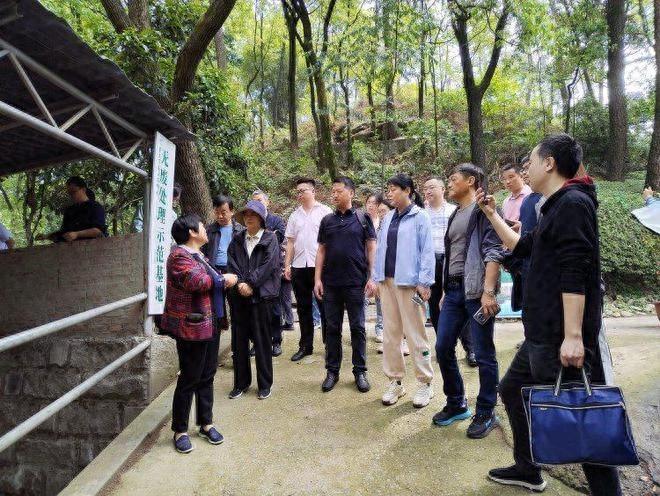 南岸区无废城市建设成效惊人！指标完成率高达 93%，你还不知道吗？