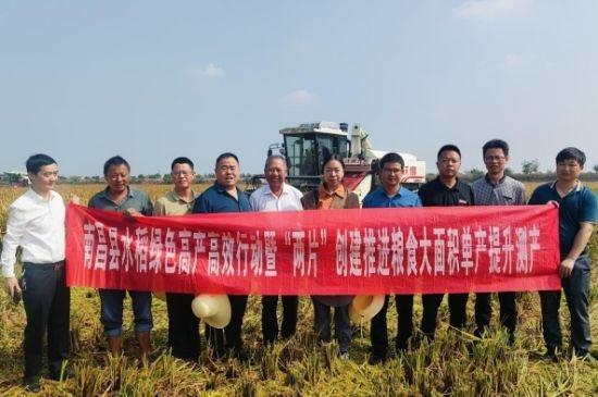 江西南昌县泾口乡中稻喜迎丰收，测产现场一片繁忙  第2张