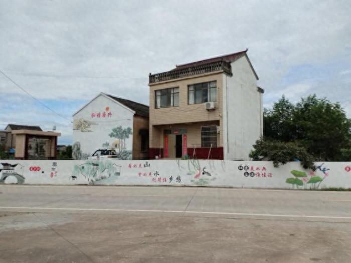 墙绘点亮乡村，唐兴村人居环境整治打造美丽画卷  第1张