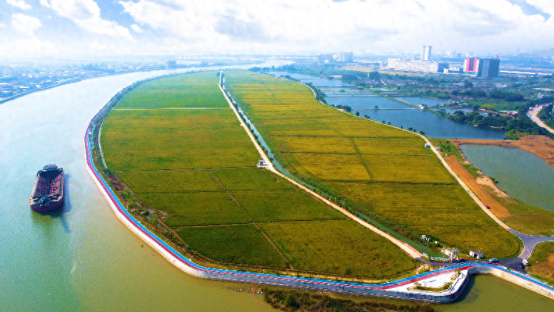 绿美生态建设：洪梅镇擦亮绿美名片，绘就人水和谐共生新图景