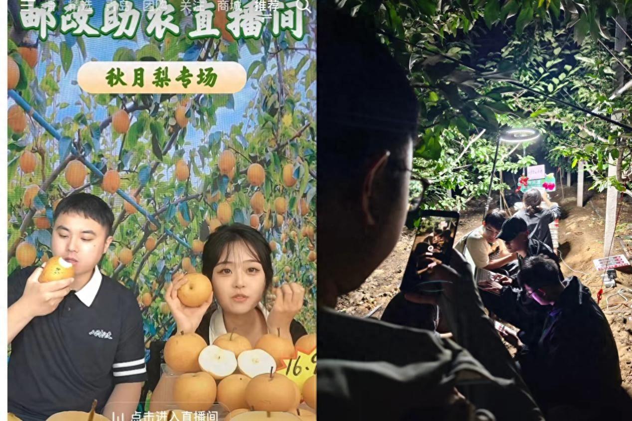 农村电商助力农产品飞出乡村，青岛邮政直播团队打造线上运营体系  第1张