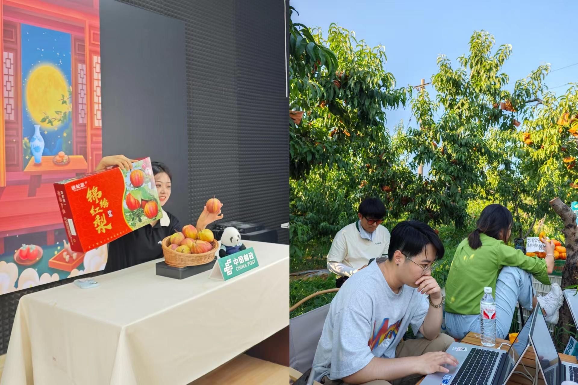 农村电商助力农产品飞出乡村，青岛邮政直播团队打造线上运营体系  第2张