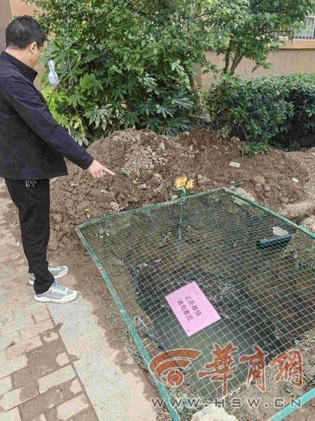 小区 10 年不到，自来水管道爆管 10 次，业主：原因究竟是啥？