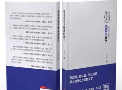 你是我笔下栖落的燕子：诗歌里的神奇力量，让你感受生命的质感  第1张