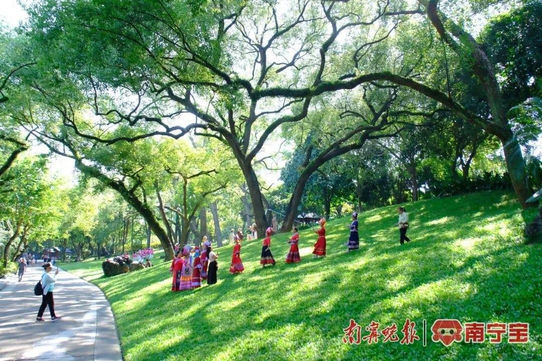 10 月 11 日重阳节，广西大部多云到晴，连休 4 天不调休！你准备好登高望远了吗？  第1张