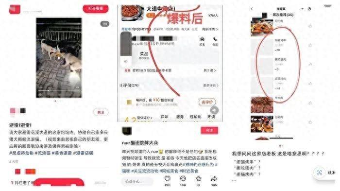 网曝贵阳一烤肉商户疑似虐猫卖猫肉，记者已联系多部门核实调查  第1张
