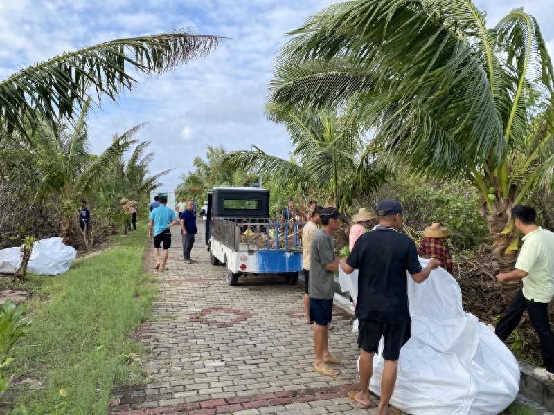 台风银杏来袭,永乐工委、管委会全力保障人民群众生命财产安全 第1张 台风银杏来袭,永乐工委、管委会全力保障人民群众生命财产安全 第1张