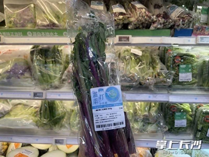 南方本地菜大量上市，菜价大幅回落，你还在等什么？  第1张