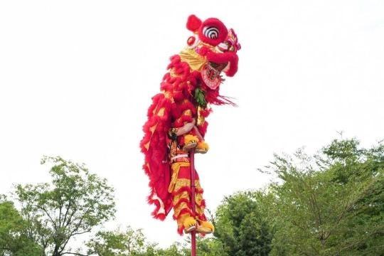 全民全运氛围拉满！广州水博苑醒狮比赛、文化集市精彩上演  第2张