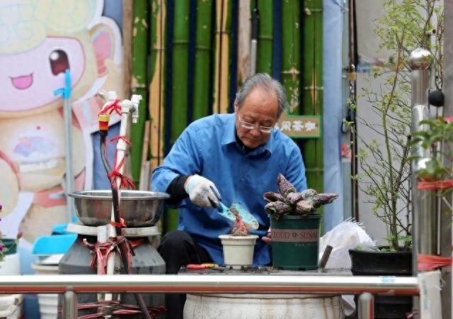 杭州人的阳台竟壕气到这种程度，让人羡慕嫉妒恨  第1张