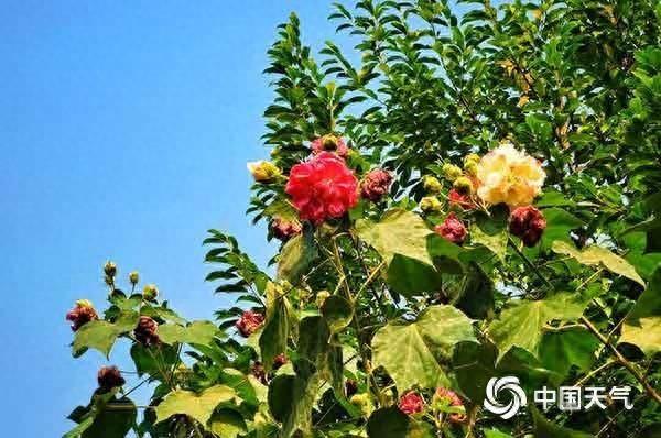 湖南未来三天晴雨相间，天气变化需注意  第1张