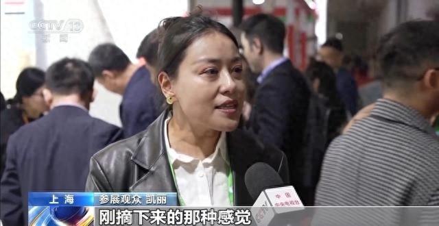 第七届进博会闭幕，叙利亚特色产品持续走红
